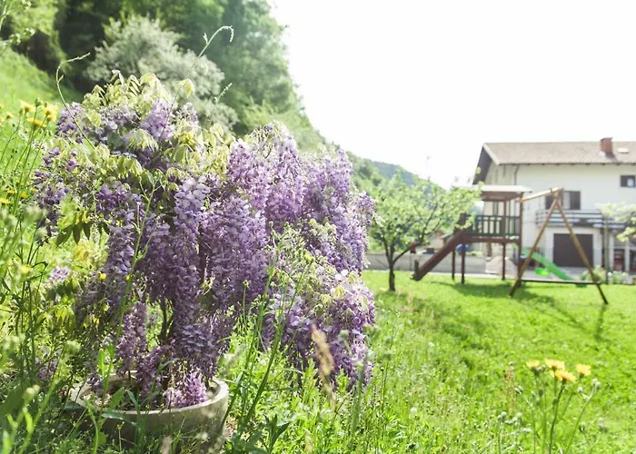 Casa de hóspedes Sobe Baca