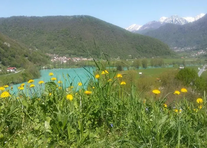 Casa de hóspedes Sobe Baca